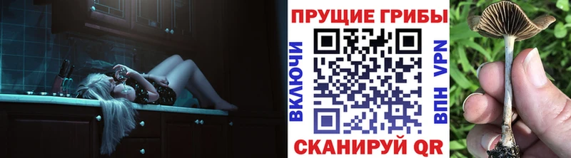 Псилоцибиновые грибы Psilocybine cubensis  наркошоп  Иннополис 